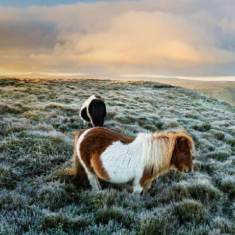 Github Wangyu247 Mt - 4K Landscape Designs for Desktop