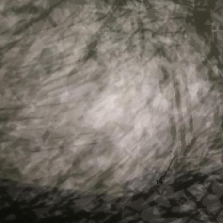 Fpvandoorn Floris Van Doorn Github - Premium Light Image Gallery - 8K