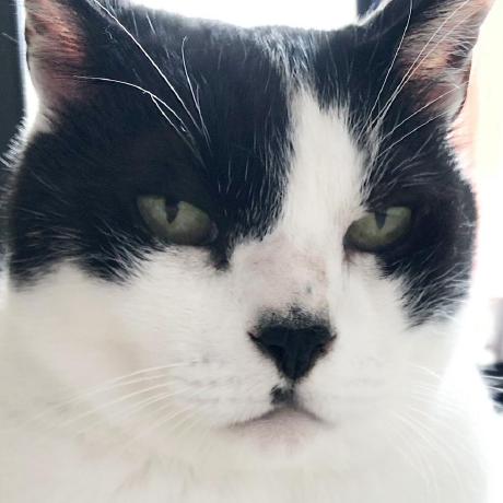 Saeki Saeki Github - Nature Images - Ultra HD High Resolution Collection