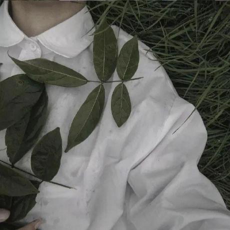 Github Xingly Cn Smart Campus E - Dark Designs - Ultra HD 4K Collection