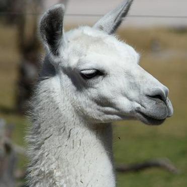 Andrea Bh Github - Vintage Photos - Perfect Full HD Collection