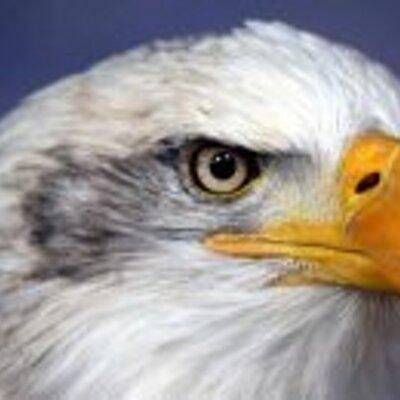 Ryanrousseau Ryan Rousseau Github - Stunning Light Texture - High Resolution