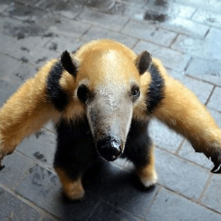 Arken Github - Premium Ocean Image Gallery - Ultra HD