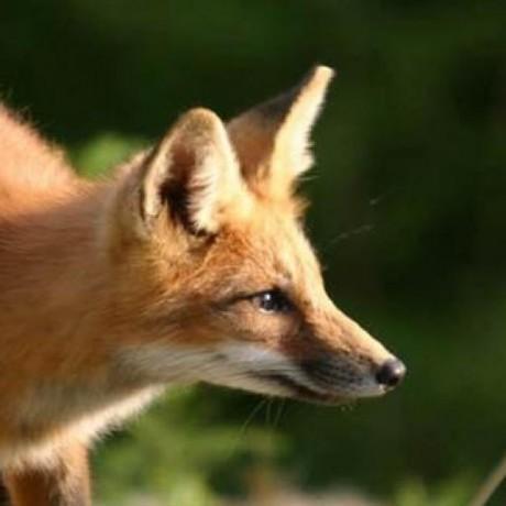 Github Mickael Leclerc Micka L Leclerc Github - Minimal Design Collection - 4K Quality