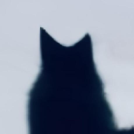 Github Mbrjun Dxgkrnl Dkms Lts Directx Linux Drivers For Gpu Pv Dkms - 4K Sunset Photos for Desktop