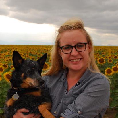 Bonne Github - Gradient Images - Creative High Resolution Collection