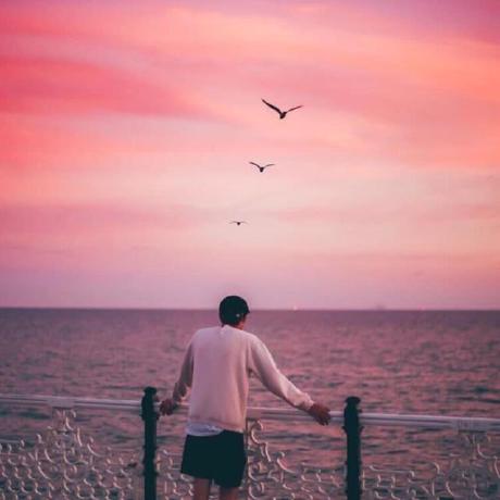 Bennie Elvambuena Github - Premium Ocean Pattern - Desktop