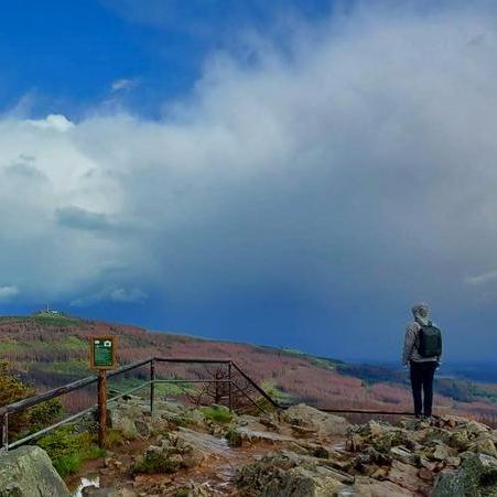 Hauke P Github - Perfect Vintage Pattern - Mobile