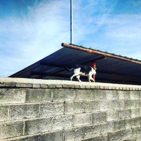 Github Roseau Multikill Multikill - Ocean Images - Professional Ultra HD Collection