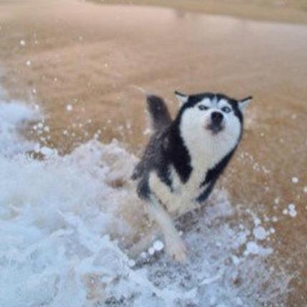 Dwwm B Thune Github - Download Perfect Abstract Background | Retina