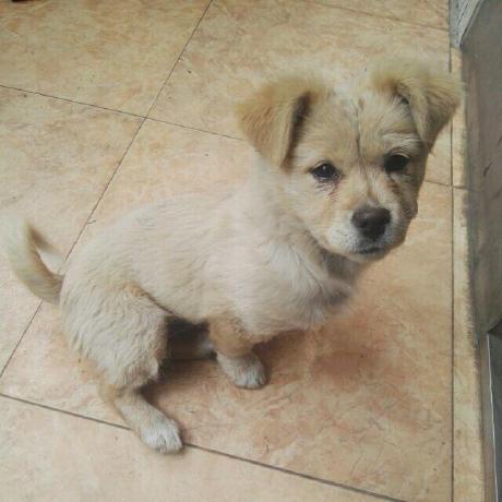 Github Weifeng Github Mqn - Best Colorful Photos in Desktop