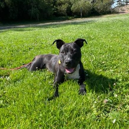 Camillemj Camille Github - Perfect 8K Space Photos | Free Download