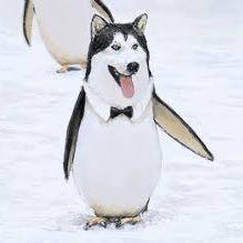 Github Abudesai Timevae Timevae Implementation In Keras Tensorflow - Classic HD Abstract Images | Free Download