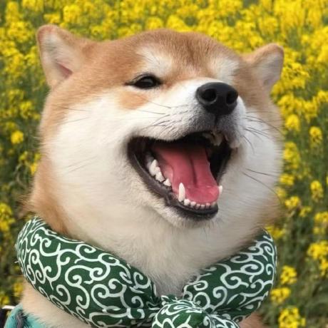 2024 12 15 Issue 761 Ttiip Study Everyday Github - High Resolution Abstract Designs for Desktop