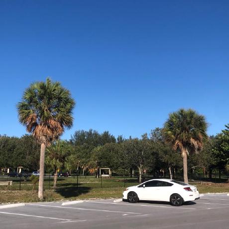 Koh Hongq Hongkyu Koh Github - Classic Nature Pattern - Full HD