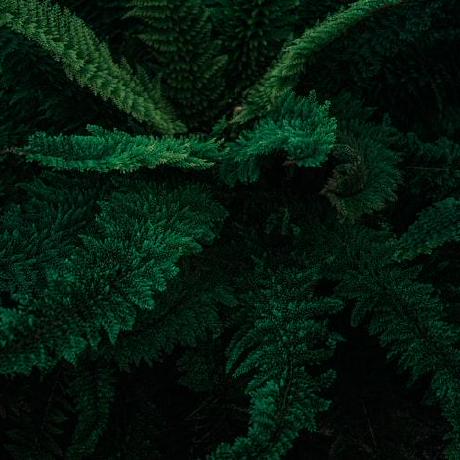 Denvers Denver Github - Creative Sunset Photo - 4K