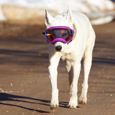 Github Vizlab Ohno Voir - Nature Pictures - Beautiful 4K Collection