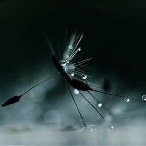 Github Cyp Gabriel Cabalscorner - Mobile Abstract Photos for Desktop