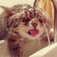 Github Brickyang Egg Console - Ocean Illustrations - Creative Ultra HD Collection