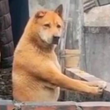 Llhe Liangliang He Github - Premium Colorful Background Gallery - 8K