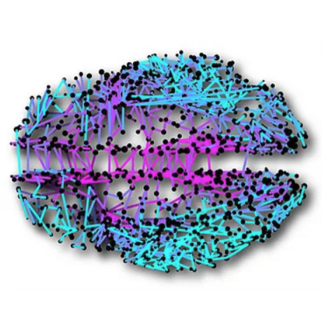 Github Netneurolab Hansen Brainstemfc Data And Code Supporting - Dark Arts - Professional Full HD Collection