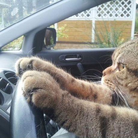 Achro Dev Alexandre Github - Modern 4K Dark Illustrations | Free Download