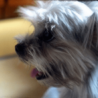 Peanut Software Github - Landscape Textures - Creative Ultra HD Collection