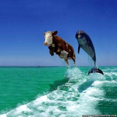 Github Calico Crusade Botsdotnet Source For A C Net Standard Bot - Perfect Abstract Background - HD