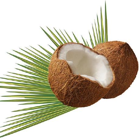 Rocco Thecocolab Linktree - Desktop Abstract Designs for Desktop