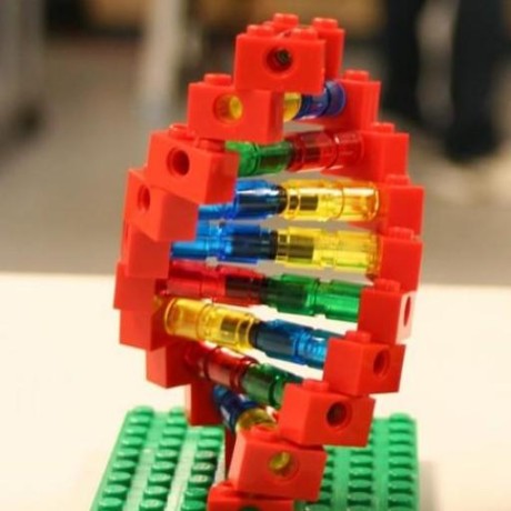 Github Ucdavis Bioinformatics Assemblathon2 Analysis Collection Of - Premium City Photo Gallery - Full HD