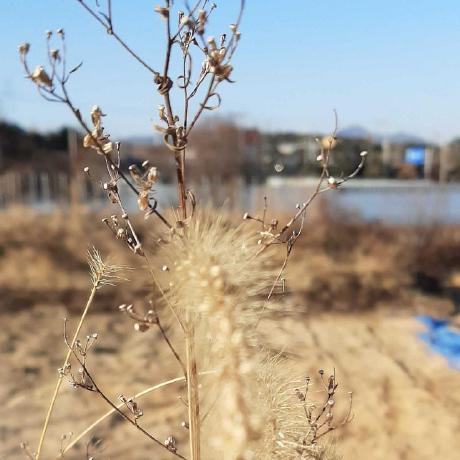 Github Hankyul2 Postimageclassification - Premium City Pattern Gallery - Full HD