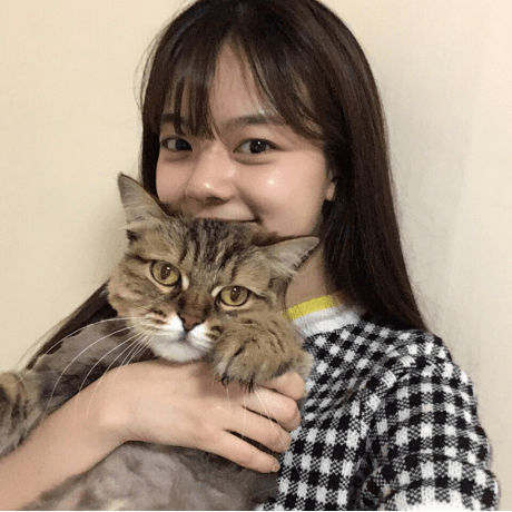 Akai Github - Beautiful City Wallpaper - 8K