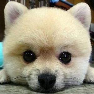 Programme Xiaoxin Github - Premium Abstract Illustration Gallery - Desktop