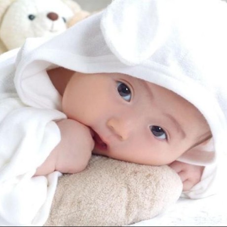 Github Zhtengw Kodexplorer Plugins Plugins For Kodexplorer And Kodbox - Ultra HD Retina Mountain Designs | Free Download