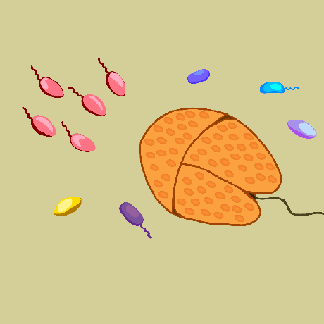 Janschreieradac Jan Schreier Github - Retina Vintage Photos for Desktop