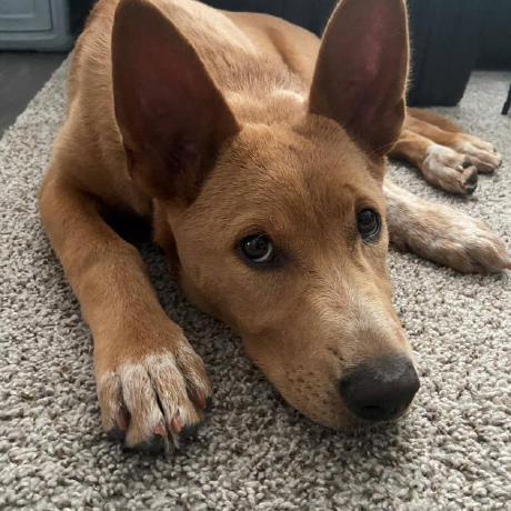 Brian Duran Github - 8K Light Textures for Desktop