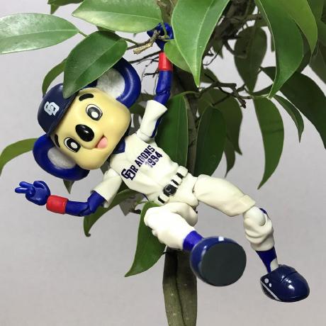 Rniwa Ryosuke Niwa Github - Perfect 4K Sunset Photos | Free Download