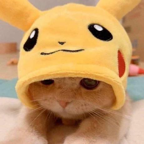 Meet Vasani Meet Vasani Github - Elegant Full HD Abstract Backgrounds | Free Download