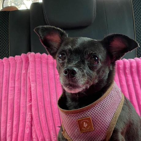 Diegoaf Ti Diego Alves Fernandes Github - Premium Colorful Picture Gallery - Desktop