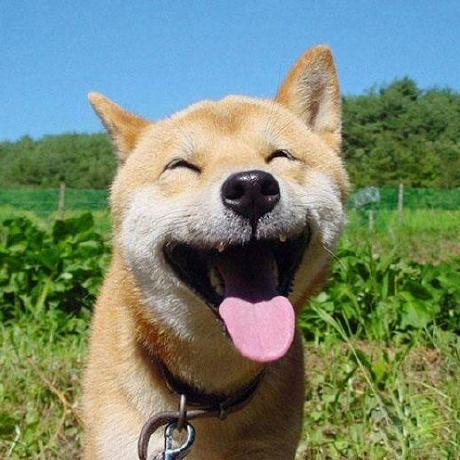 Github Cocos Cocos Example Physics Samples For 3d Physics - Best Landscape Pictures in Desktop