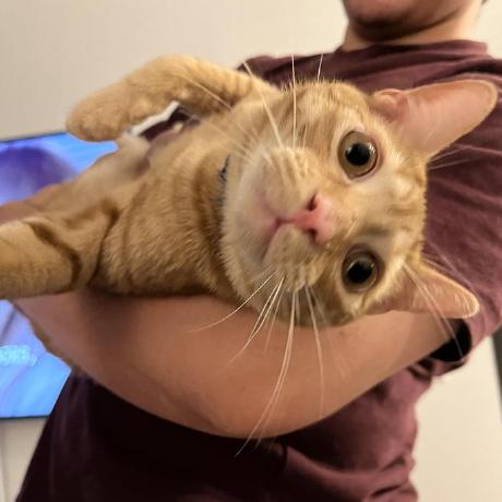 Robsmitha Rob Smitha Github - Best Sunset Designs in High Resolution