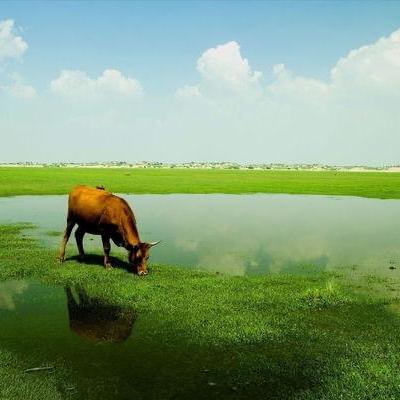 Team Starry Github - Download Premium Dark Photo | Full HD