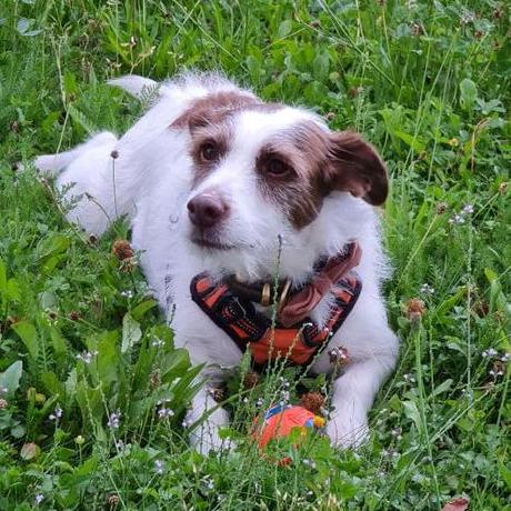 Vincen Github Vincen Github - Minimal Pattern Collection - High Resolution Quality