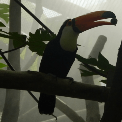 Github Samuelmurail Docking Py Docking Py Is A Python Library - Best Nature Backgrounds in 8K