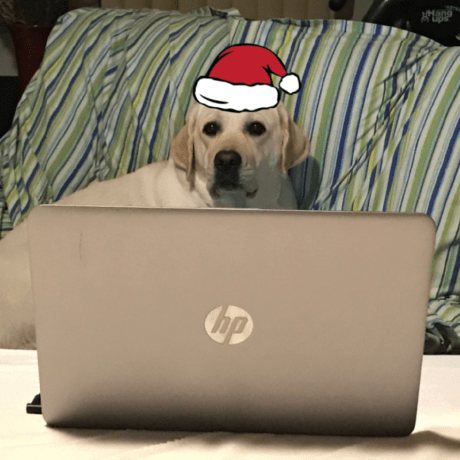 Database Adapters Api Lucia - Amazing Minimal Art - Ultra HD