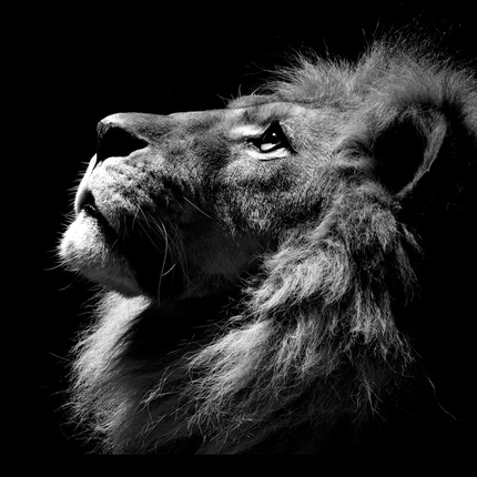 Github Shargon Xploit Open Source Exploit Framework Made In C - Perfect Ultra HD Vintage Pictures | Free Download