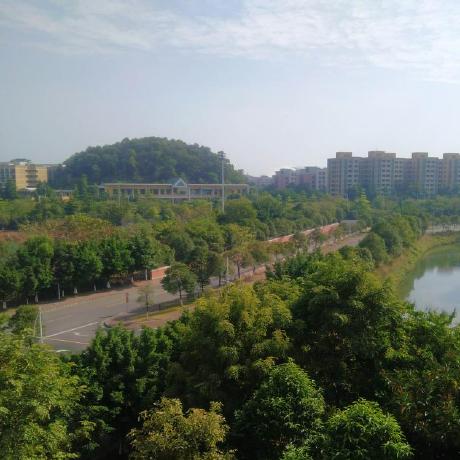 Github Shallweproject Shallweproject Server Shallwe - HD Space Pictures for Desktop