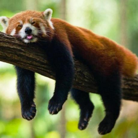 Abstract Interface Yevgeniy Nikolayev Github - Download Ultra HD City Wallpaper | 4K