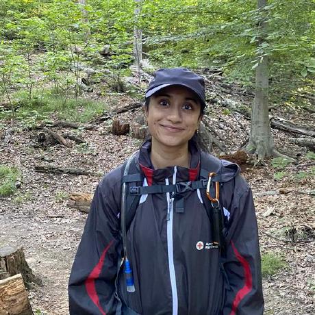 Veena Vijay Github - Artistic 8K Sunset Arts | Free Download