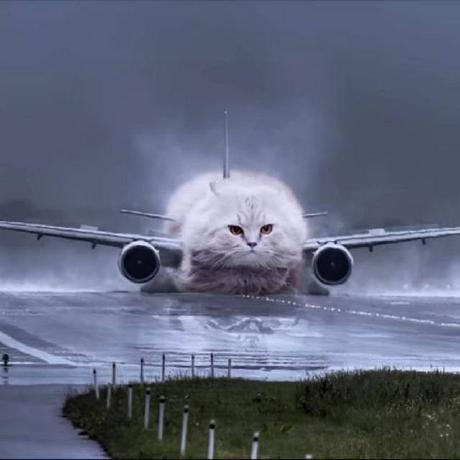 Sponsor Sphericalkat On Github Sponsors Github - Download Classic Landscape Design | Desktop